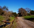 Some of the "cuts" between Sutter Creek and Ione, Well these roads can't be called "short cuts". 
      For foothill homes with views like this contact me.