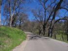 Amador road, Sutter Creek, CA.
      For views like this contact me.