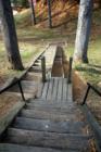 KENILWORTH NEIGHBORHOOD. (Asheville, N.C.) A sustainable community.The park, the stairs to it, or simply take the SLIDE.