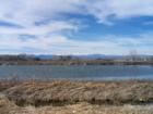 Wetlands by Idaho Creek 