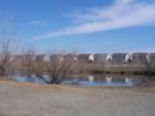 Idaho Creek - 3 Bedroom Homes by Wetlands from $160,000 (Longmont, Weld County)