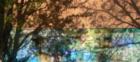 Ar117401175107095_l