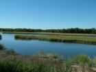 Ash Creek Tidal Estuary