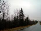 Golden Ridge Road In Sherman!