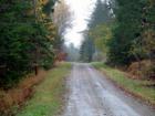 Patterson Road In Sherman!