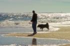 Wrightsville Beach NC Dog Days
      Photo by Ginger Sala