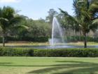 Tiburon golf course view with lake and fountain.