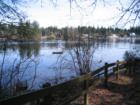 Right above picnic area with view Long Lake