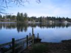 Picture from Picnic area