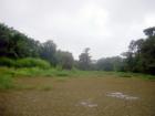 Bayou