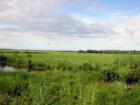 Bayou