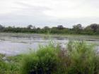 Bayou