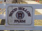 Colts Neck offers many opportunities to ride horses and take horseback training.  Woodhollow Farms in Colts Neck has a track for jumping and offers classes day and night.