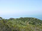 La Jolla Canyon