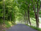 Wickwire Road