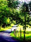 Turner Road
