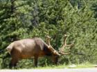 Rocky Mountain National Park