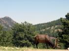 Rocky Mountain National Park