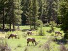 Rocky Mountain National Park