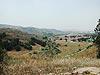 Moorpark still a small down.
