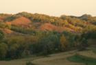 The sun is just rising behind me as I took this photo on Oct 1, 2006.  The Loess Hills are just as peaceful they look in this photo.    
