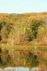 Jones Creek is a pond just outside Moorhead.  Thousands of acres of forest in this area make up the Loess Hills State Forest.  Hiking, photography, fishing and hunting are popular here.