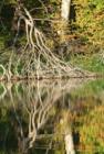 Jones Creek Pond near Moorhead Iowa.  The Loess Hills Hospitality Association operates the Loess Hills visitors center in Moorhead Iowa.  http://www.loesshillstours.com/