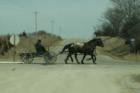 Along Iowa Highway #2 near Bloomfield.