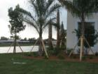 Fort Myers Pre-Construction Condo Majestic Palms New Construction Condo 