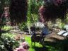 Summer at the Seasons