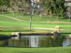Tijeras Creek Golf Course