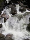Yosemite Natl. Park - May 06