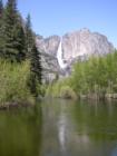 Yosemite Natl. Park - May 06