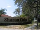 Sharon Oaks is Neighborhood of lovely Clearwater Homes,some back into Allen's Creek.  