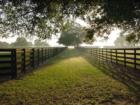 Sun Rise in SW Ocala