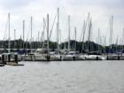 New Orleans is surrounded by lakes and water. Some of the best sports fishing is just minutes away from downtown. It is not unusual to catch your limit of 25 speckled trout and 5 red fish
