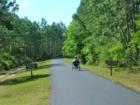 Flatwoods Park