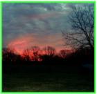 Spring sunrise near Mansfield, Missouri.  The country lends itself to TREES which create their own mini-views.  