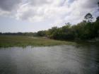 Morrison Creek on Blythe Island