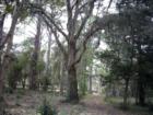 Oak Grove On River lot on Blythe Island
