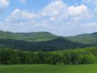 Views of the Cox District from Carlton Hill Road