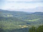 Views of Bridgewater from Peterkin Hill Road