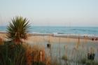 Fall Beach Scene at Emerald 