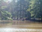 One of two small lakes in Carbonton Heights in Sanford, NC