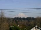 Mount Rainier with Doug Browns' iconic shop covered with licence plates in the foreground.