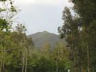Robinson Ranch - Santa Ana Mountains Foothills