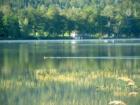 Those Are Ducks Paddling Along Looking For Breakfast!