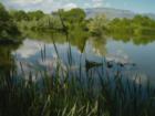 Rio Grande Nature Center