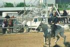 Competing in the Valencia County Fair Royalty Contest, at the Valencia County Fairgrounds