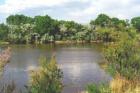 Rio Grande River, flowing through Belen